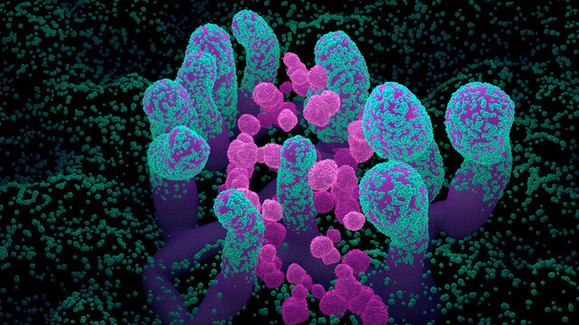 Vielfache Vergr&ouml;&szlig;erung, Bakterien, Mikroorganismen, Virologie
