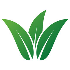 Leaves Logo Vector 