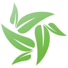 Herbal Leaves Vector 