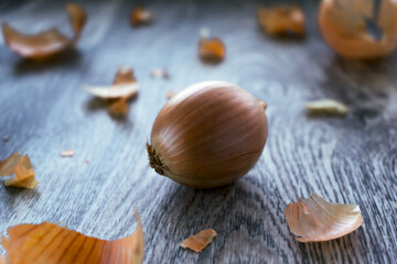 Onion lies in middle of frame against gray background onion husks scattered