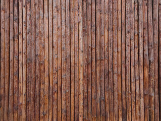 wood texture from logs