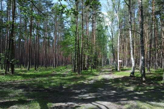 Barycz Valley, Poland