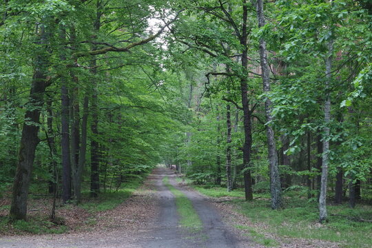 Barycz Valley, Poland