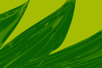 green leaf background