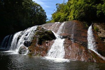 Coal Creek Falls in New Zealand
