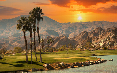 golf courseat sunset  in palm springs, california - obrazy, fototapety, plakaty