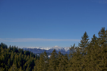 mountain with snow and pinetrees while hiking in the winter