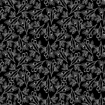 seamless patten with hand drawn white outlines of berries on twigs on black background for fabric, printsm typography, decor etc.