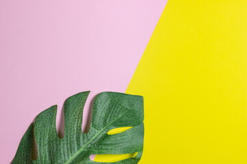 Fototapeta na wymiar Green leaf on a geometric background. Colored background. Background for design, lettering or logo.