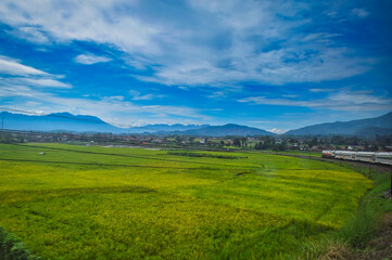 landscape with green grass and blue sky