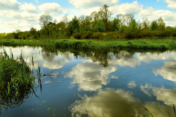 Obraz premium The lake and clouds are reflected in the water in spring at times. fresh spring foliage.