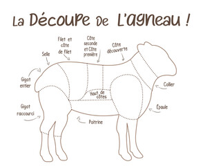 La découpe de l'agneau, boucherie, schéma découpe de l'agneau en français, illustration, croquis