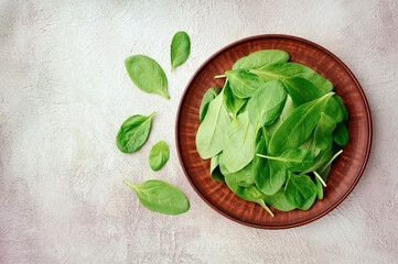 Spinach leaves in plate