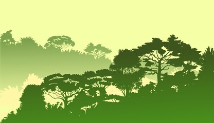 Deciduous forest. Silhouette. Mature, spreading trees. Thick thickets. Hills overgrown with plants. Sky. Vector
