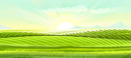 Fototapete Lindgrün Hills and meadows. Haymaking pastures. Agricultural farm land. Green grass. Grassland for farming. Beautiful countryside landscape. Vector  © WebPAINTER-Std