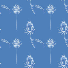 Seamless pattern of wild teasel and dandelions. - obrazy, fototapety, plakaty