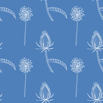 Seamless pattern of wild teasel and dandelions.