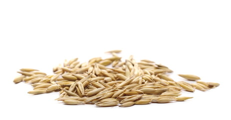 Unpeeled oat grains, groats pile isolated on white background