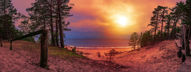 Panoramic view of Baltic sea coast. Colorful sunset over sea with pine trees silhouette and sand...
