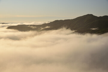 Sea of clouds in early morning