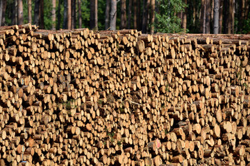 wood piles stacked on the road waiting for export