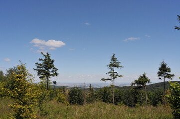 Owl Mountains, Poland