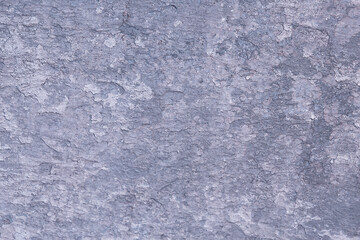 gray stucco grunge wall, abstract background gray wall blank