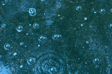 blue background puddle of rain / raindrops, circles on a puddle, bubbles in the water, the weather is autumn
