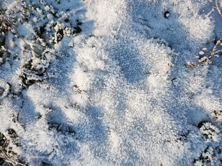 A view of the uneven surface of the earth covered with crystals of frost on a frosty sunny day.