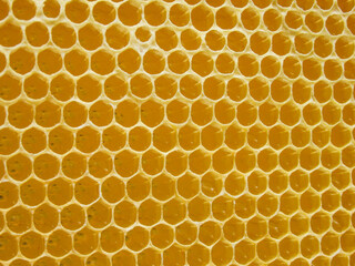 Honeycomb. Geometric, closeup. Yellow Honey cells texture background. Concept of beekeeping.