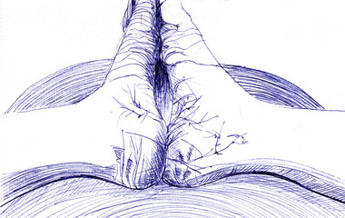 Hand drawn female feet, legs with cracks. Blue pen drawing, graphics. Raster stock illustration isolated on white background.