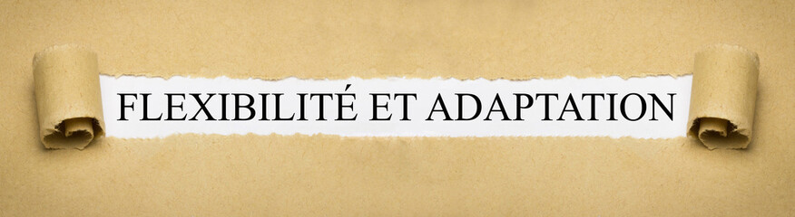 Flexibilit&eacute; et adaptation