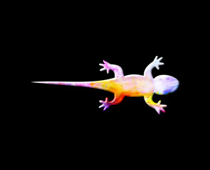 LIzard Gecko Colorful Watercolor graphic illustration