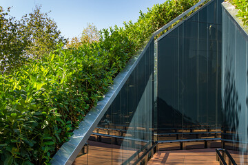 One of entrances to mirror maze. Walls of maze are decorated with evergreen cherry laurel ( Prunus...