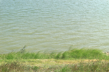 Summer green nature river landscape, the Mekong River between Thailand and Laos.