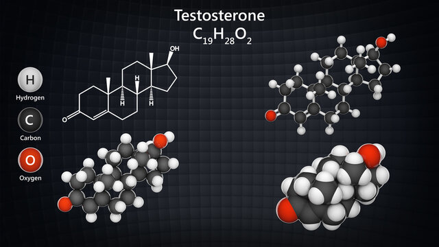 Molecular structure of Testosterone - steroid hormone from the androgen group. C19H28O2. 3D illustration.