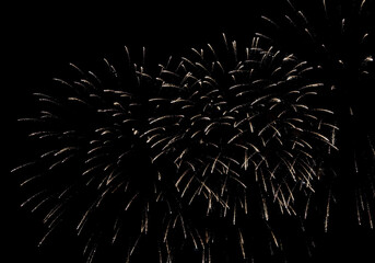 firework celebrate background anniversary new year