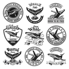 Whale emblems set. Monochrome design elements with whale tails in ocean and text. Nature or wildlife concept for travel agency stamp, label, sign templates - obrazy, fototapety, plakaty