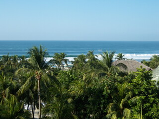 Fototapeta na wymiar Vue avec palmiers sur une plage à Acapulco