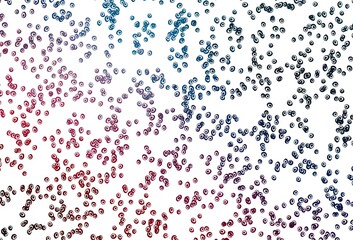 Fototapeta premium Light Blue, Red vector pattern with spheres.