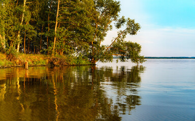 Fototapeta premium The beauty of forest landscapes with a river.