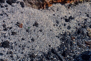 Dry Lava Basaltic Rock