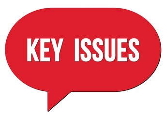 KEY  ISSUES text written in a red speech bubble