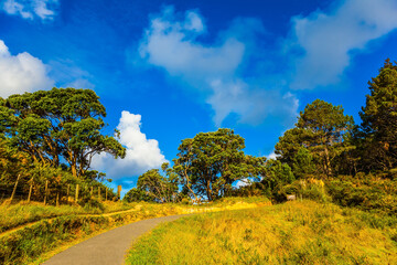 The road along the ocean coast