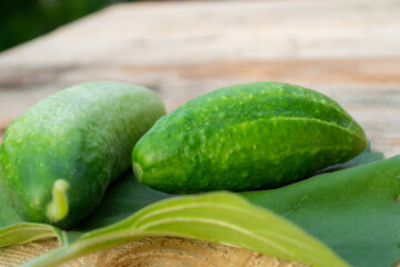 fresh cucumbers on the market