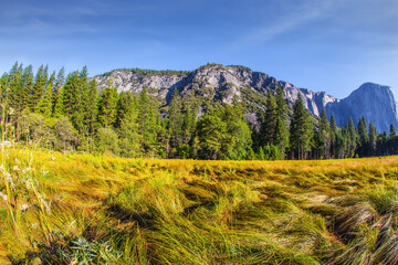 Obraz premium The Sierra Nevada. Yosemite Valley