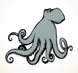 Obraz premium Octopus. Vector drawing icon sign