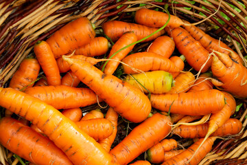 carrots on a market