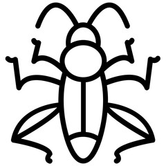 Cricket insect