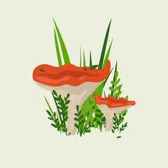 Chanterelle mushrooms in autumn colors, for cards or invitations, stickers